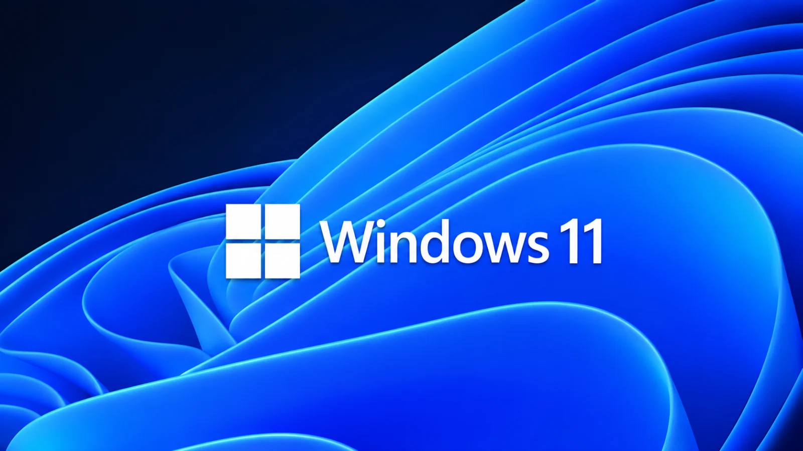 Windows 11